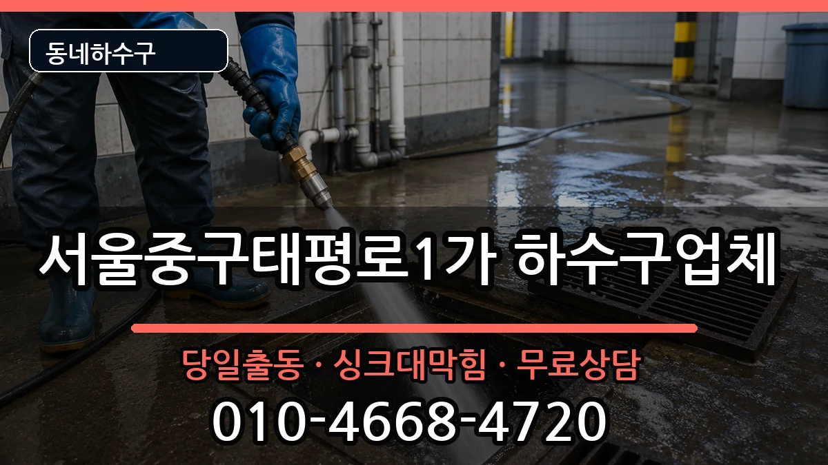 서울중구태평로1가 하수구막힘 서울중구태평로1가 하수구막힘 증상 처리 안내 이미지 3