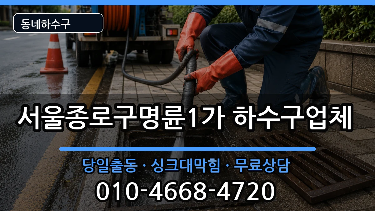 서울종로구명륜1가 하수구막힘 증상 처리 안내 이미지 2