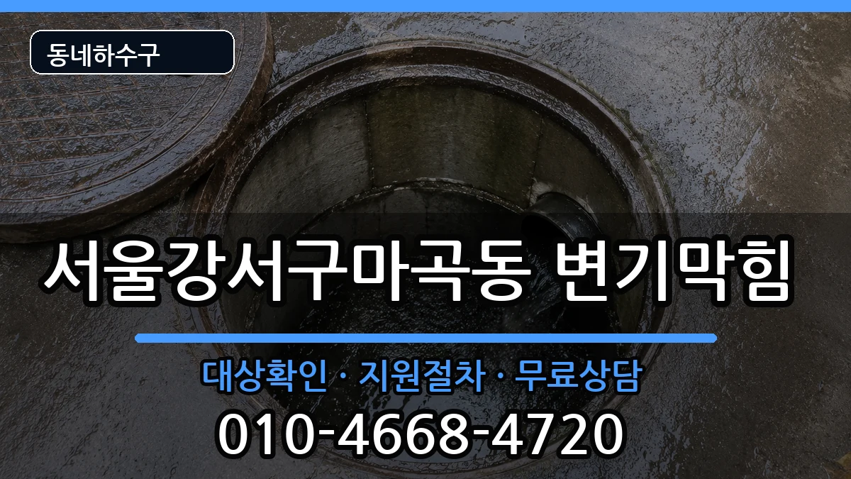 서울강서구마곡동 변기막힘 서울강서구마곡동 변기막힘 증상 처리 안내 이미지 3
