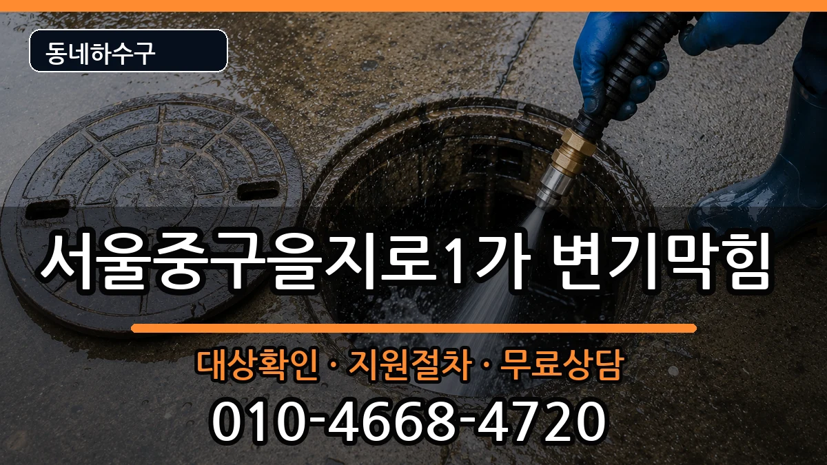 서울중구을지로1가 변기막힘 서울중구을지로1가 변기막힘 증상 처리 안내 이미지 3