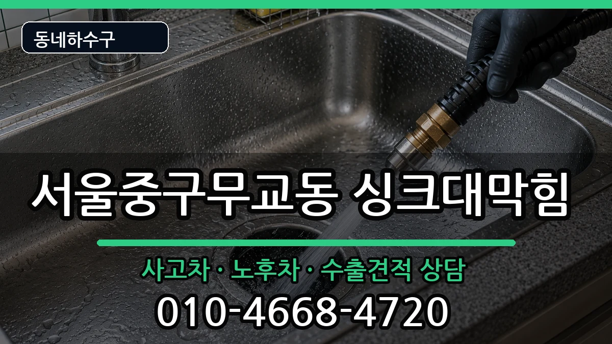 서울중구무교동 싱크대막힘 증상 처리 안내 이미지 1