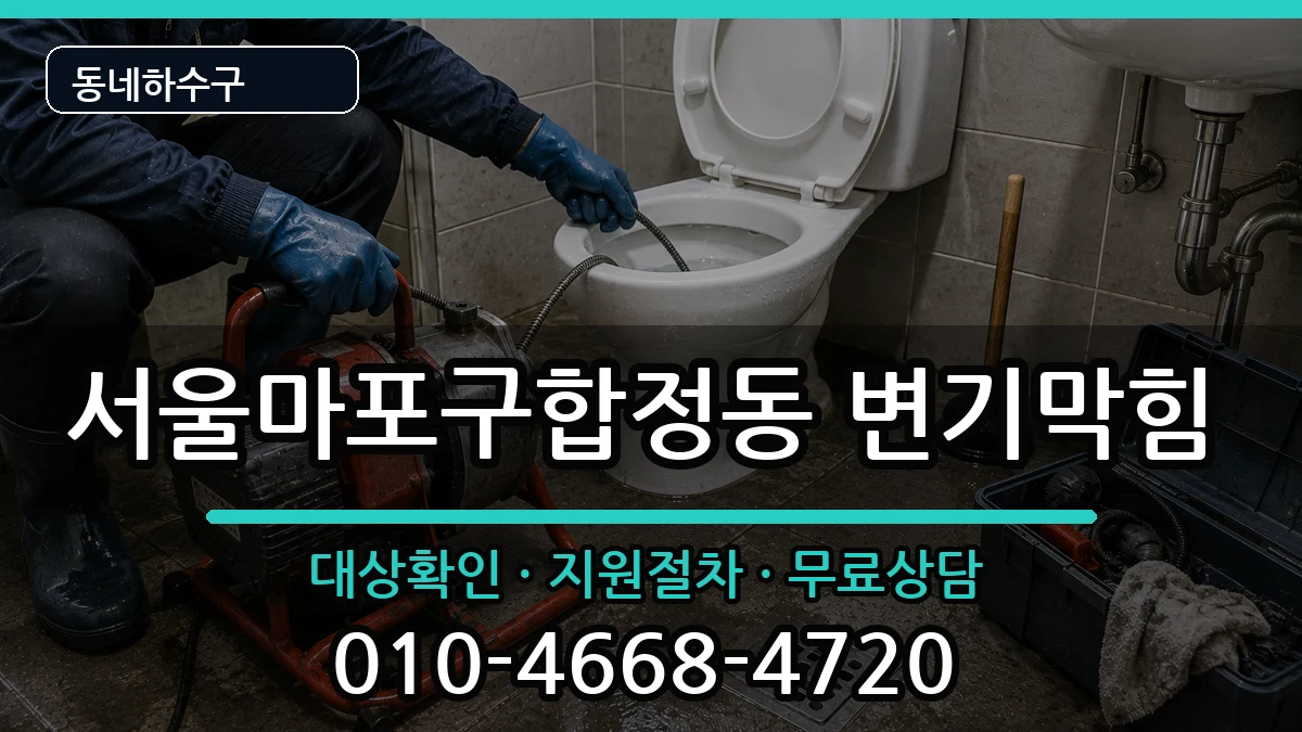 서울마포구합정동 변기막힘 서울마포구합정동 변기막힘 증상 처리 안내 이미지 3