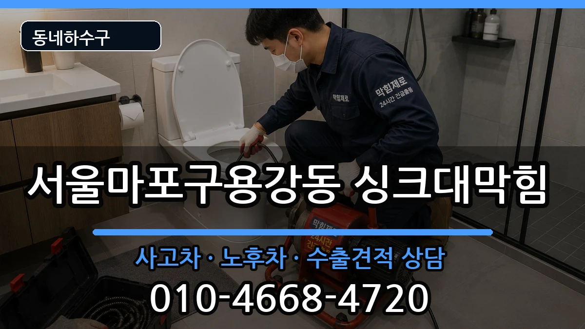서울마포구용강동 싱크대막힘 서울마포구용강동 싱크대막힘 증상 처리 안내 이미지 1
