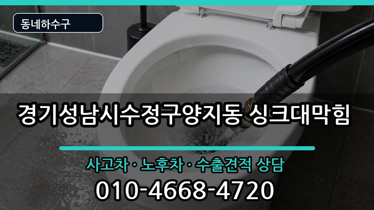 경기성남시수정구양지동 싱크대막힘 증상 처리 안내 이미지 2
