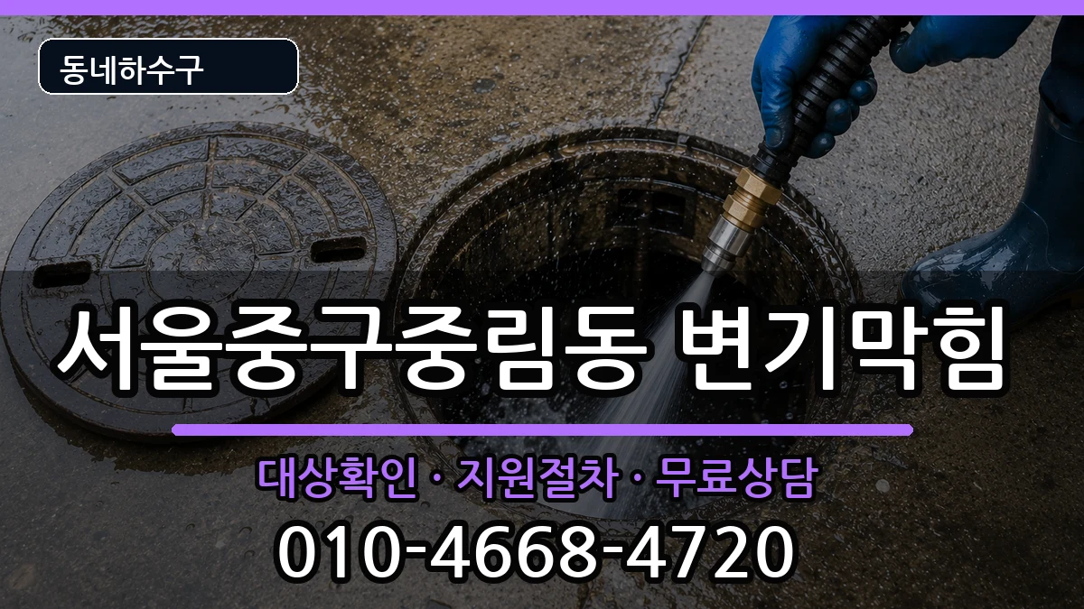 서울중구중림동 변기막힘 서울중구중림동 변기막힘 증상 처리 안내 이미지 2