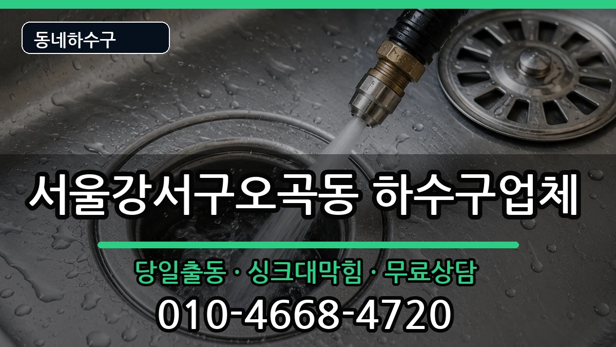 서울강서구오곡동 하수구막힘 증상 처리 안내 이미지 2