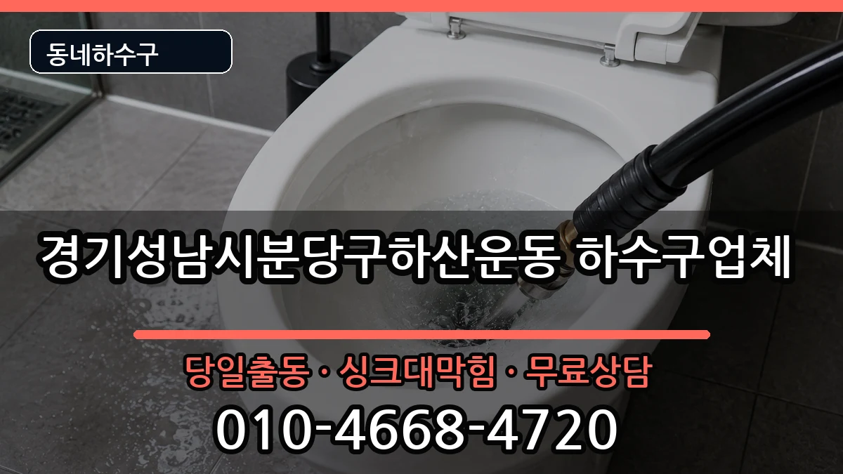 경기성남시분당구하산운동 하수구막힘 증상 처리 안내 이미지 1