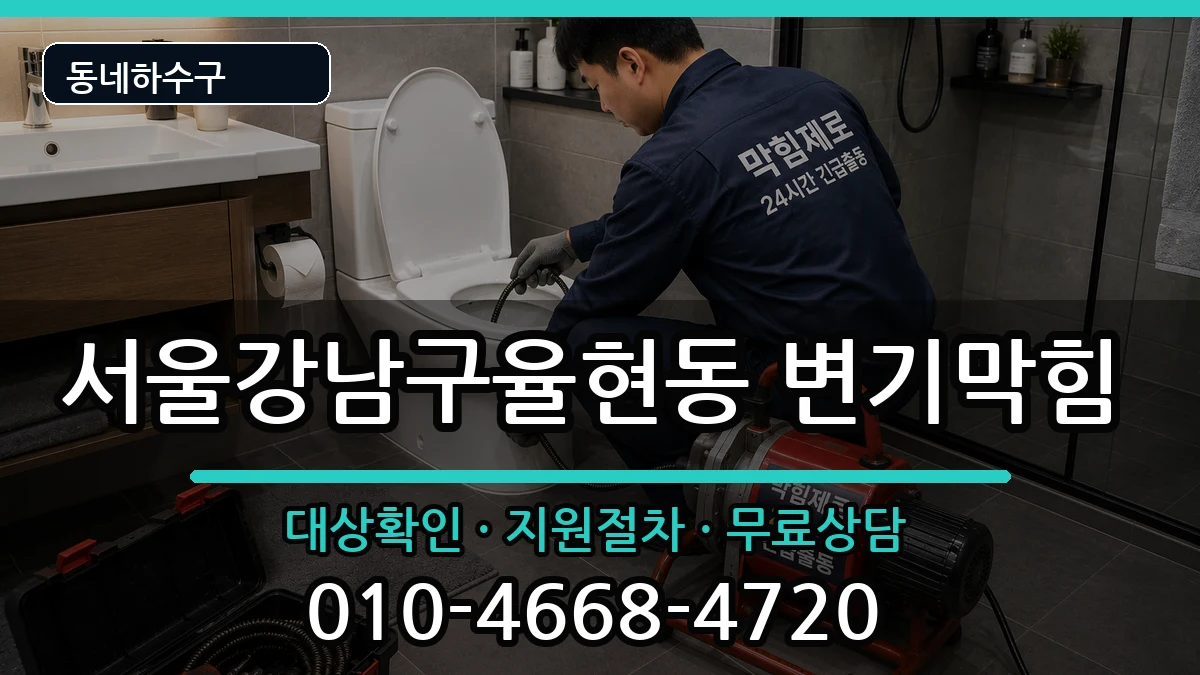 서울강남구율현동 변기막힘 증상 처리 안내 이미지 3