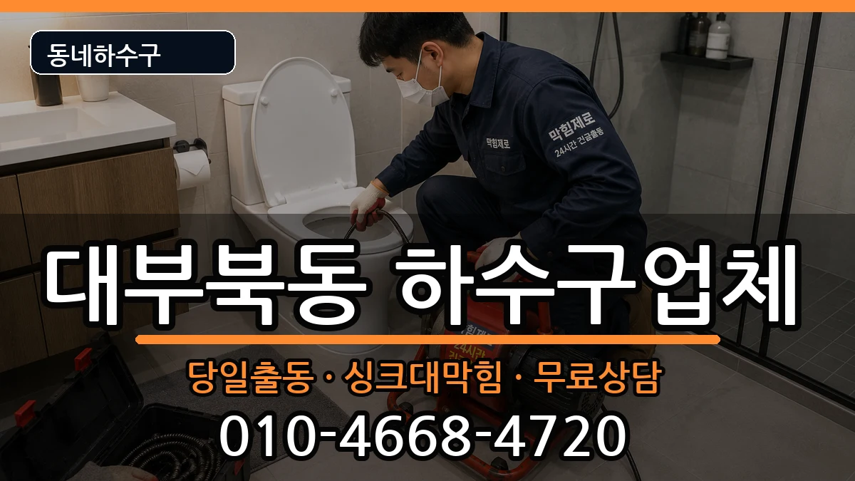 경기안산시단원구대부북동 하수구막힘 증상 처리 안내 이미지 3