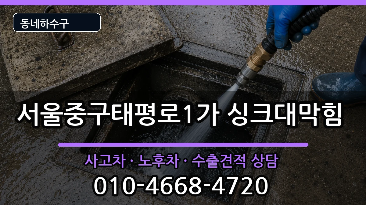 서울중구태평로1가  싱크대막힘 주의사항형