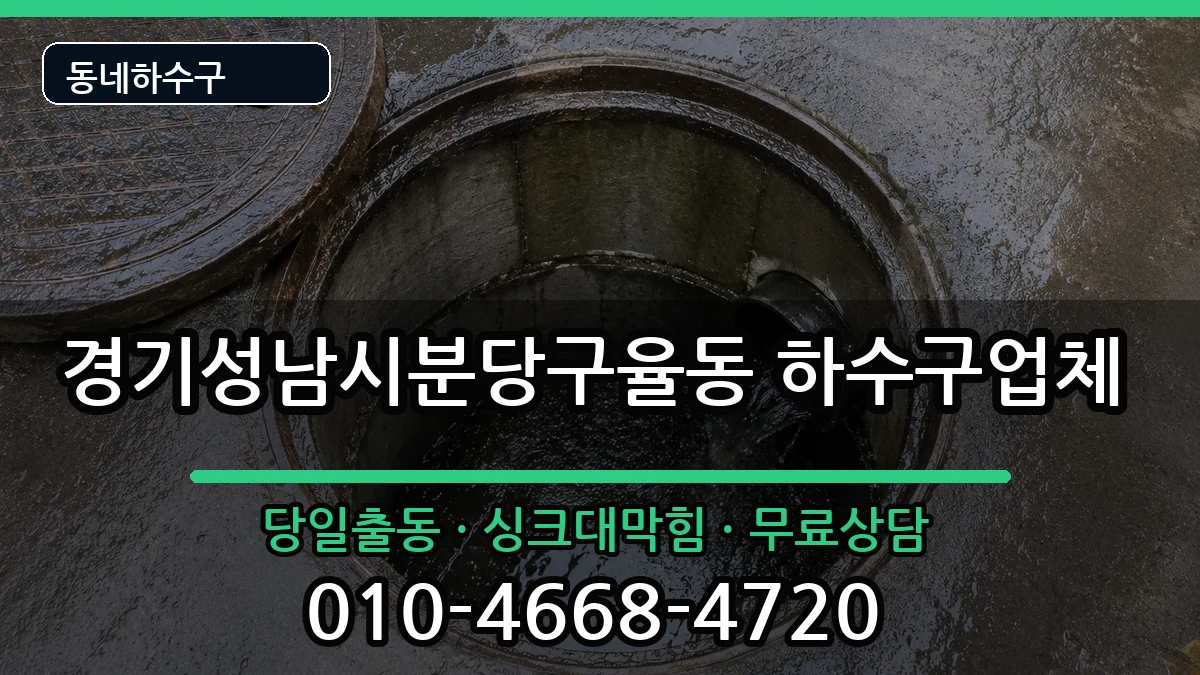 경기성남시분당구율동 하수구막힘 증상 처리 안내 이미지 2