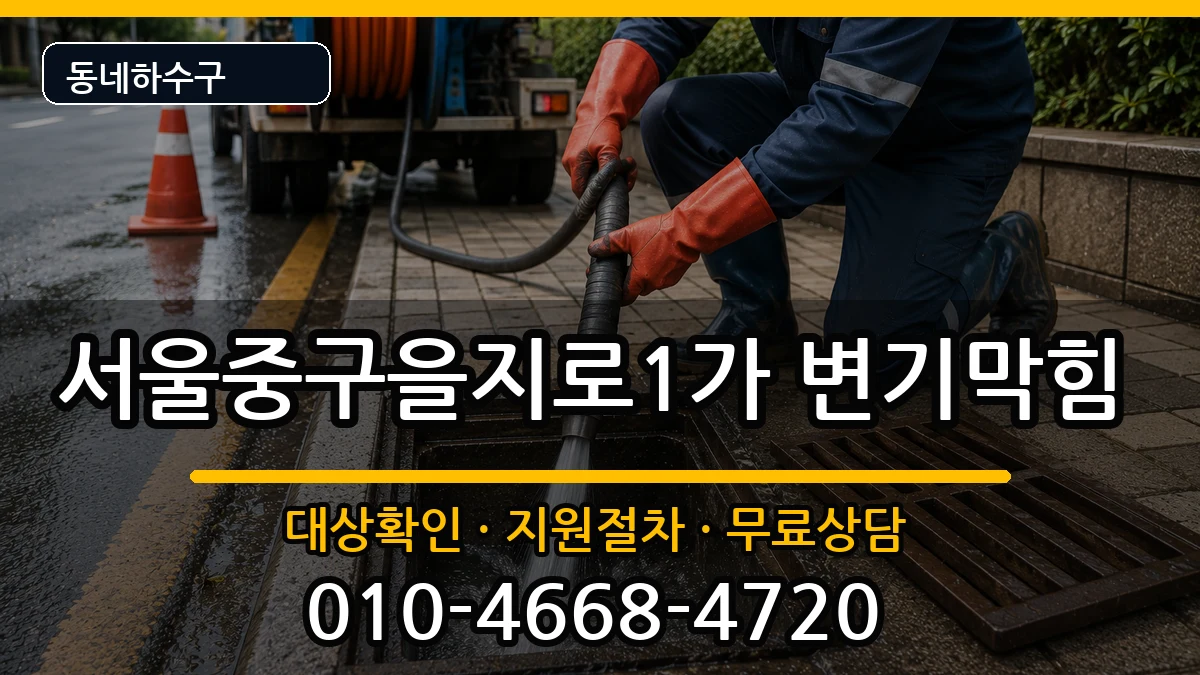 서울중구을지로1가 변기막힘 서울중구을지로1가 변기막힘 증상 처리 안내 이미지 2
