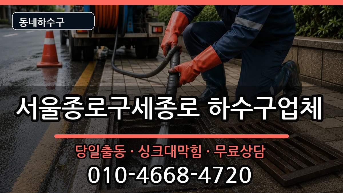 서울종로구세종로 하수구막힘 서울종로구세종로 하수구막힘 증상 처리 안내 이미지 3