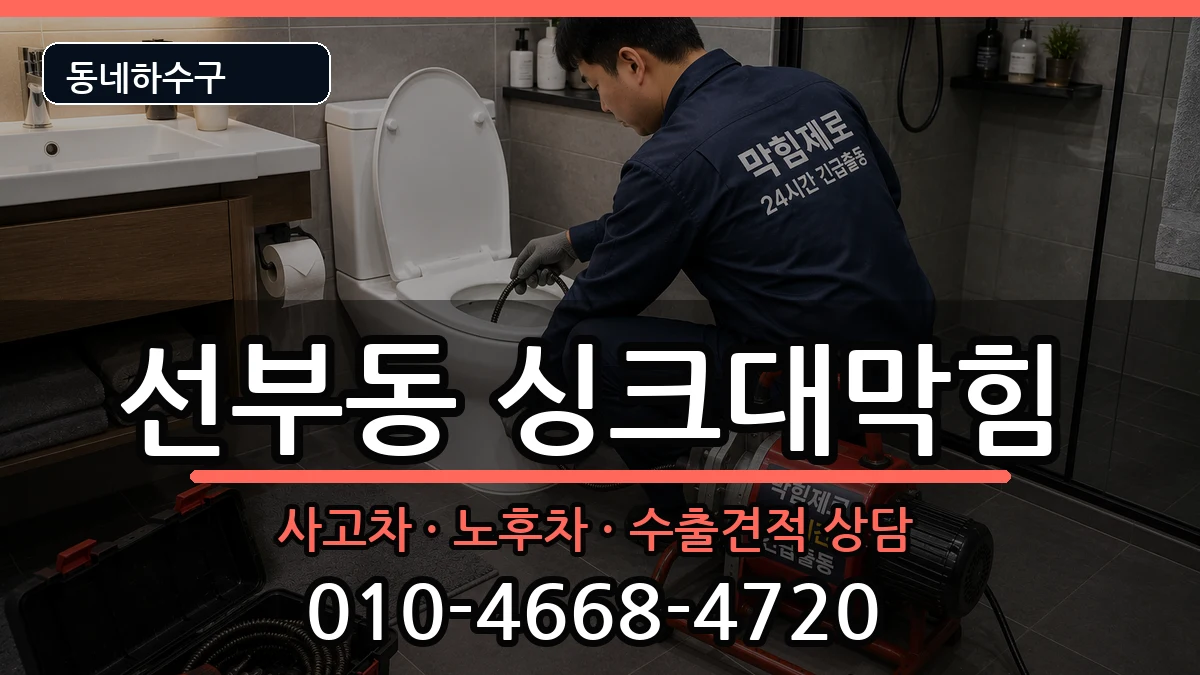 경기안산시단원구선부동 싱크대막힘 경기안산시단원구선부동 싱크대막힘 증상 처리 안내 이미지 2