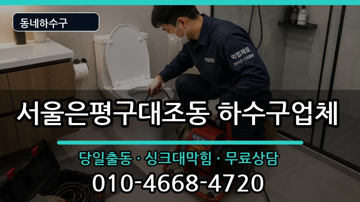 서울은평구대조동 하수구막힘 서울은평구대조동 하수구막힘 증상 처리 안내 이미지 3