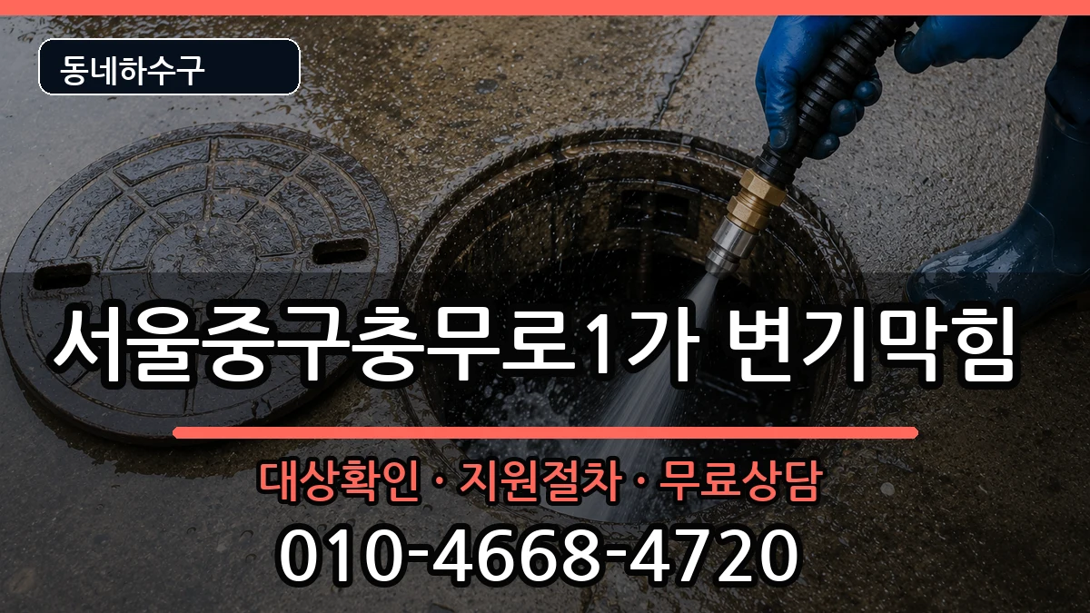 서울중구충무로1가 변기막힘 서울중구충무로1가 변기막힘 증상 처리 안내 이미지 3
