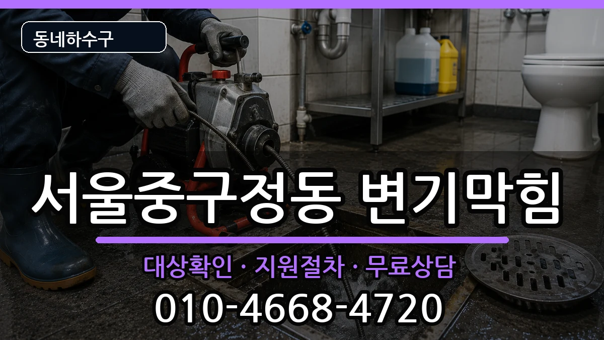 서울중구정동 변기막힘 증상 처리 안내 이미지 2