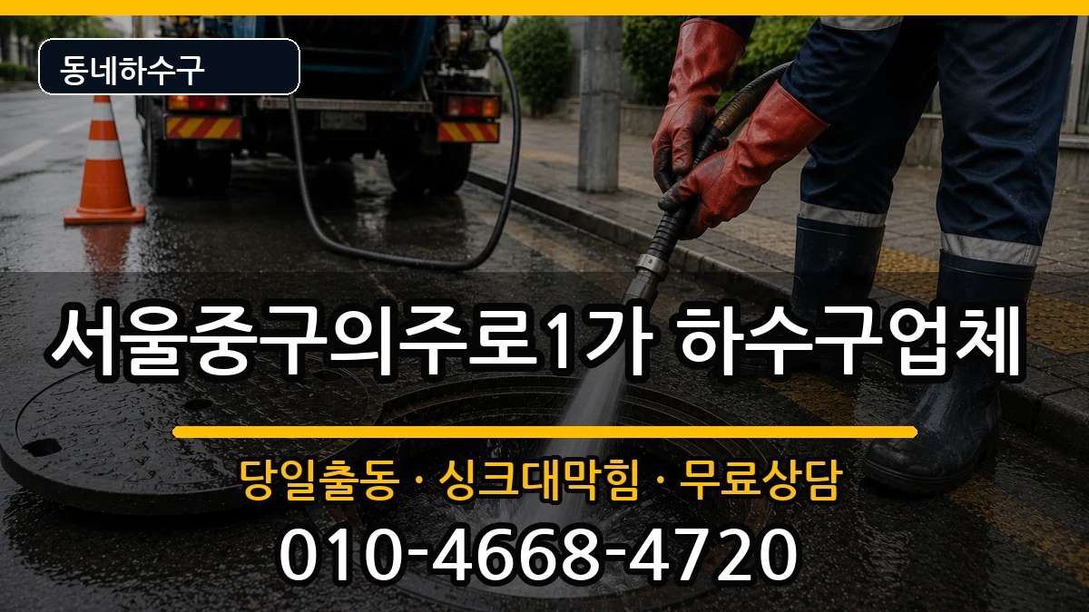 서울중구의주로1가 하수구막힘 서울중구의주로1가 하수구막힘 증상 처리 안내 이미지 3