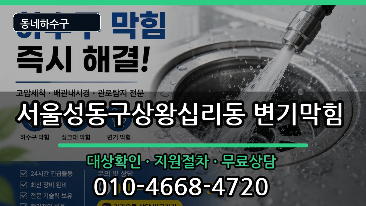 서울성동구상왕십리동 변기막힘 증상 처리 안내 이미지 3