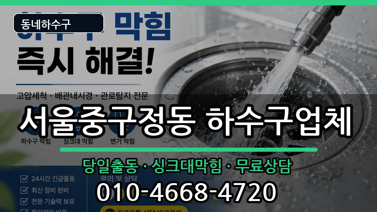서울중구정동 하수구막힘 증상 처리 안내 이미지 2