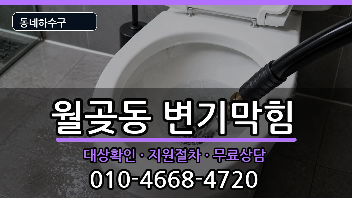 경기시흥시월곶동 변기막힘 증상 처리 안내 이미지 2