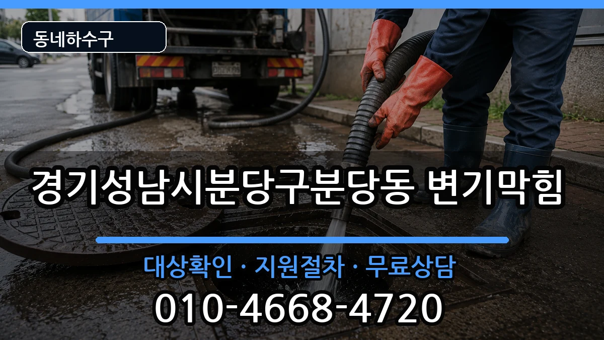 경기성남시분당구분당동  변기막힘 정보형