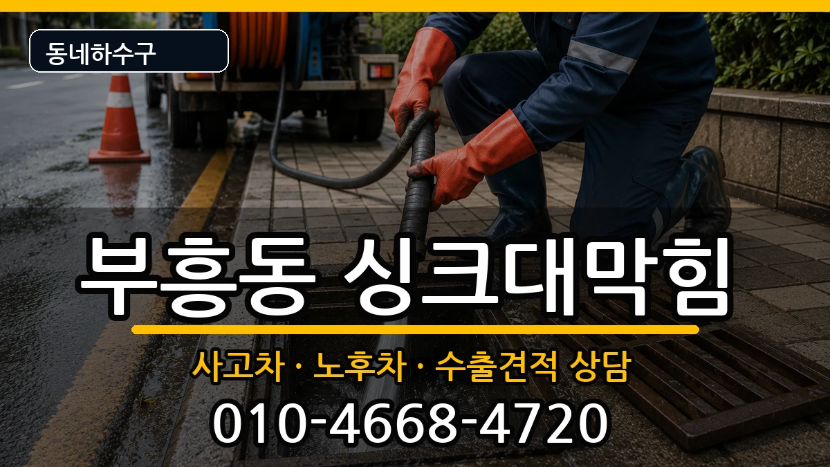 경기안양시동안구부흥동 싱크대막힘 증상 처리 안내 이미지 1