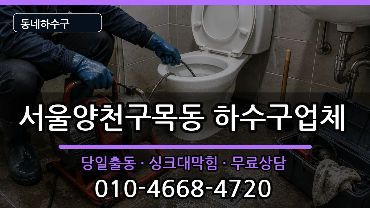 서울양천구목동 하수구막힘 증상 처리 안내 이미지 2