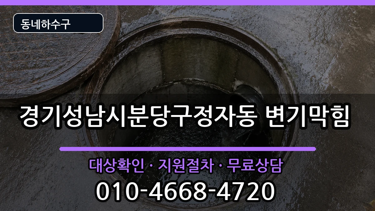 경기성남시분당구정자동 변기막힘 경기성남시분당구정자동 변기막힘 증상 처리 안내 이미지 3