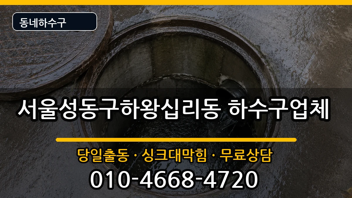 서울성동구하왕십리동 하수구막힘 증상 처리 안내 이미지 1