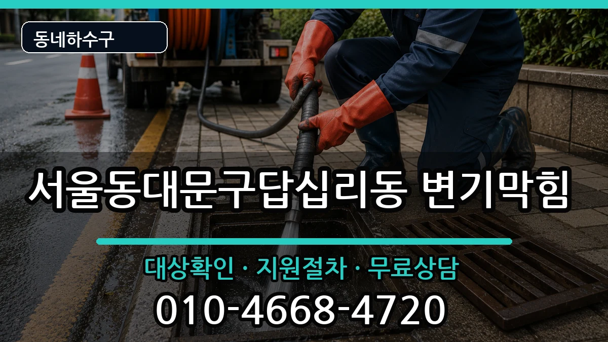 서울동대문구답십리동 변기막힘 서울동대문구답십리동 변기막힘 증상 처리 안내 이미지 2