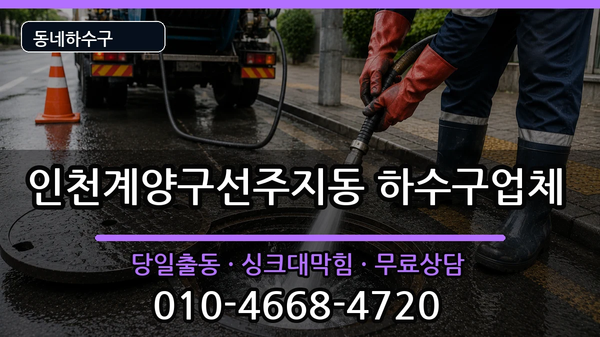 인천계양구선주지동 하수구막힘 증상 처리 안내 이미지 3