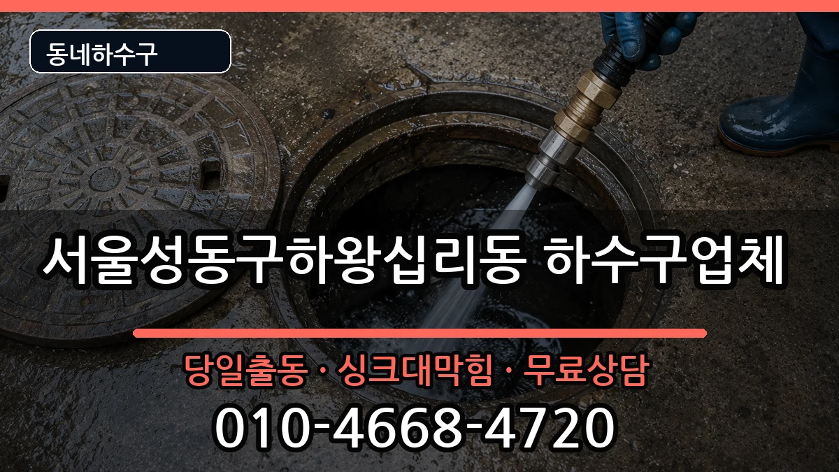 서울성동구하왕십리동 하수구막힘 증상 처리 안내 이미지 2