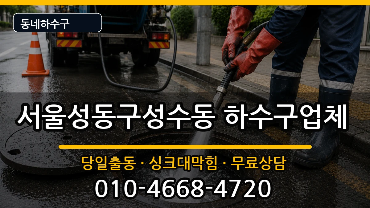 서울성동구성수동 하수구막힘 증상 처리 안내 이미지 3