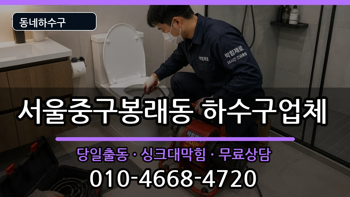 서울중구봉래동 하수구막힘 증상 처리 안내 이미지 2