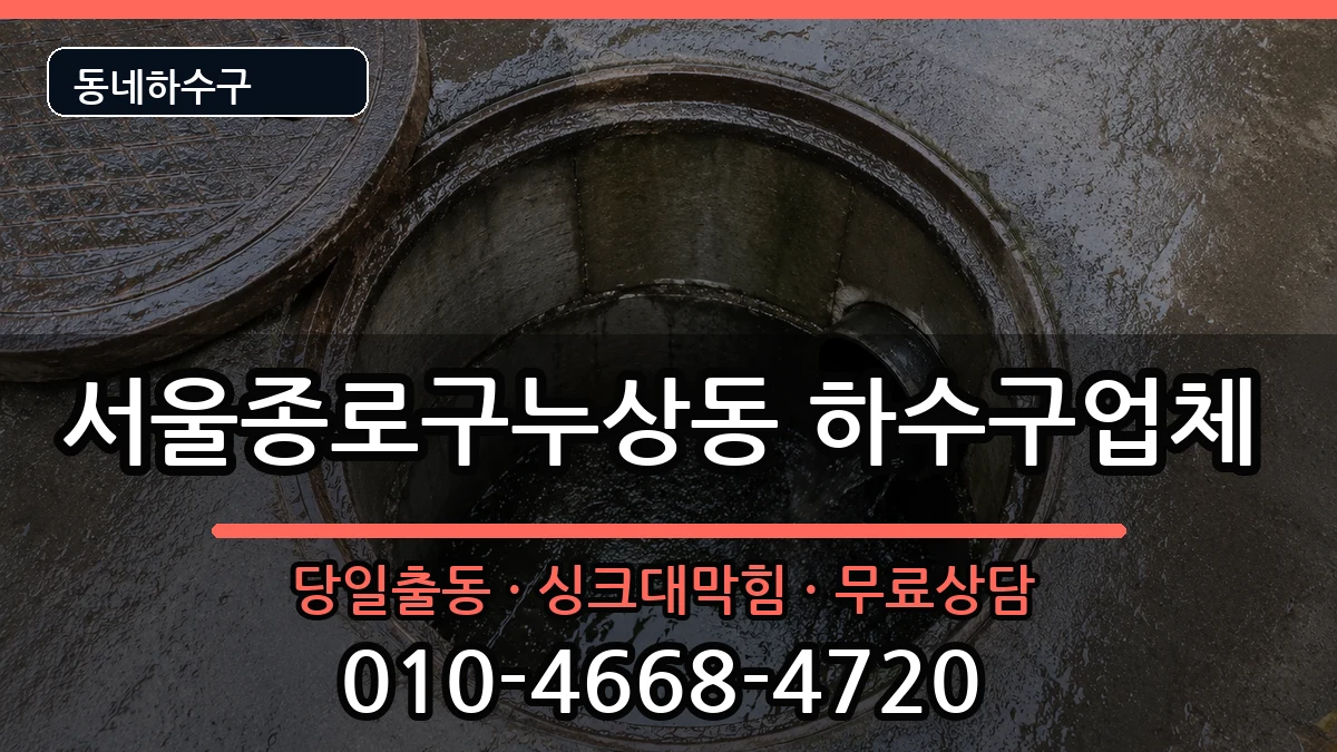 서울종로구누상동 하수구막힘 서울종로구누상동 하수구막힘 증상 처리 안내 이미지 1