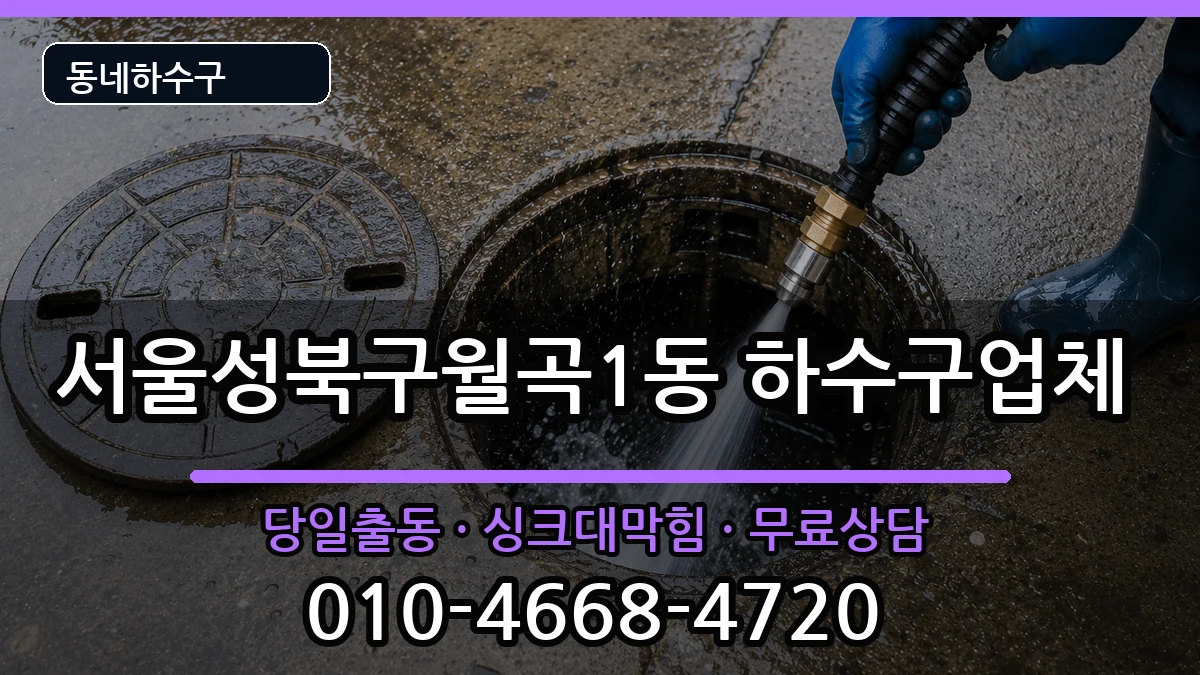 서울성북구월곡1동 하수구막힘 증상 처리 안내 이미지 3