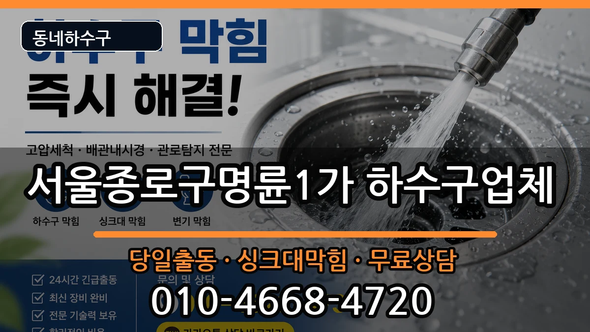 서울종로구명륜1가 하수구막힘 증상 처리 안내 이미지 1