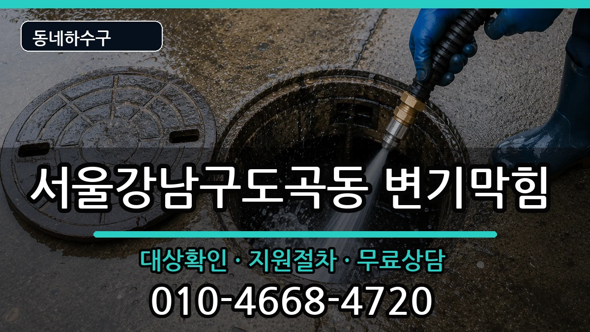 서울강남구도곡동 변기막힘 서울강남구도곡동 변기막힘 증상 처리 안내 이미지 1