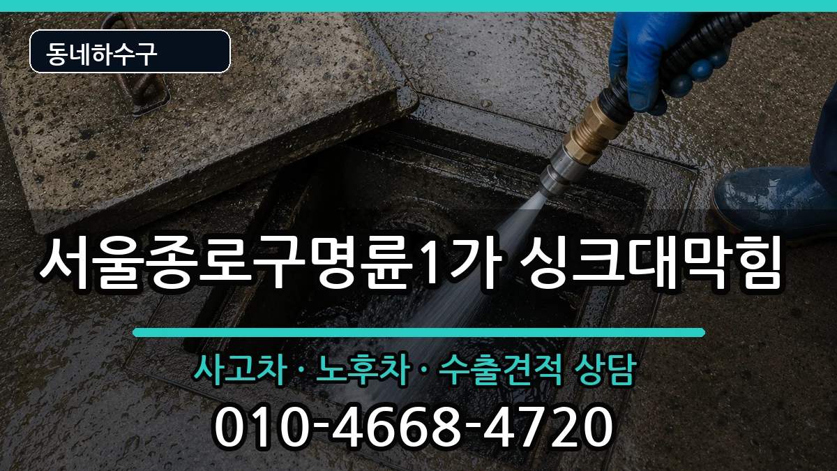 서울종로구명륜1가 싱크대막힘 증상 처리 안내 이미지 2