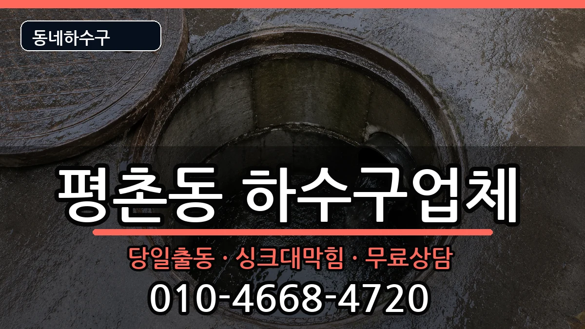 경기안양시동안구평촌동 하수구막힘 경기안양시동안구평촌동 하수구막힘 증상 처리 안내 이미지 1