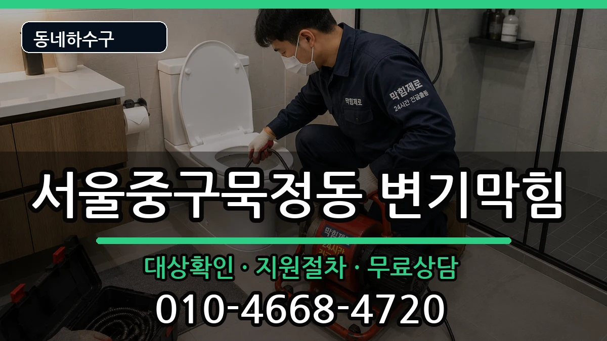 서울중구묵정동 변기막힘 증상 처리 안내 이미지 2