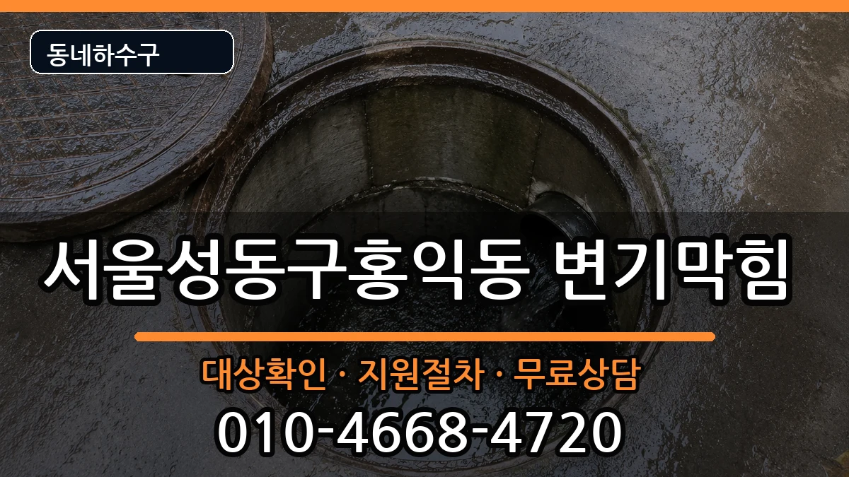 서울성동구홍익동 변기막힘 증상 처리 안내 이미지 1