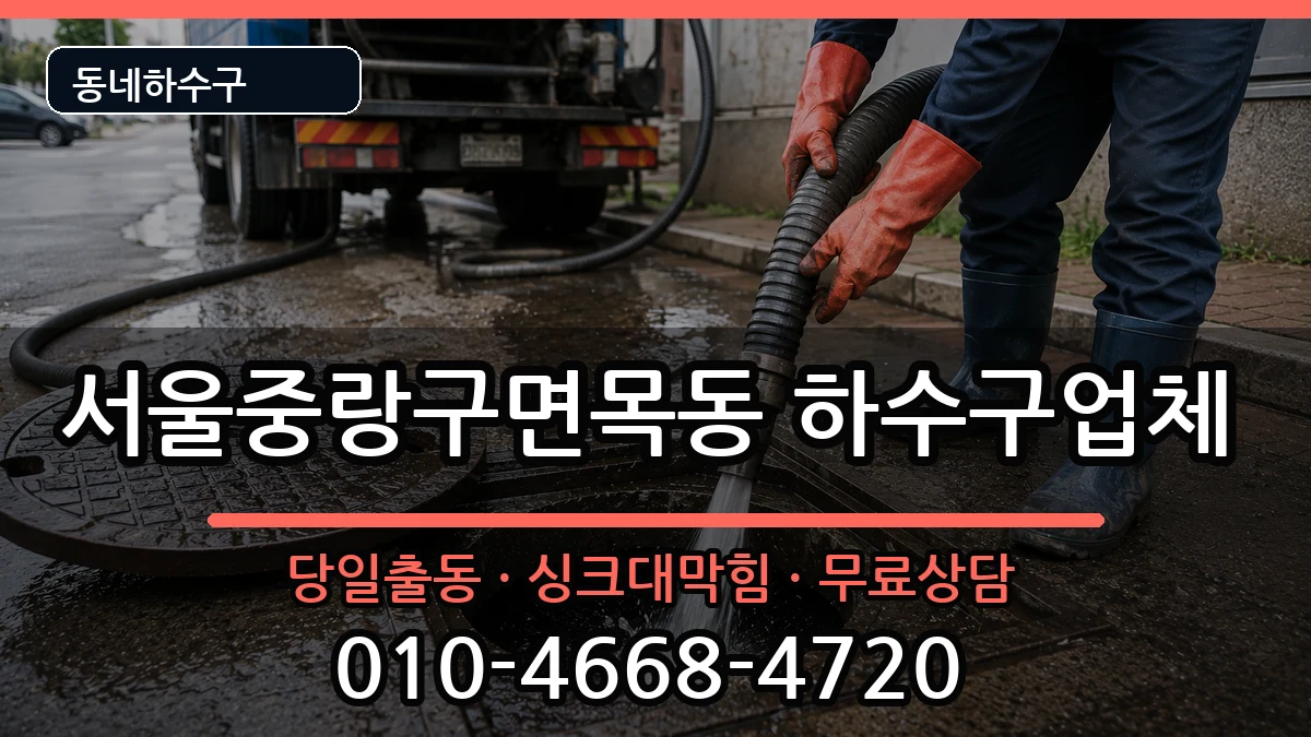 서울중랑구면목동  하수구막힘 정보형