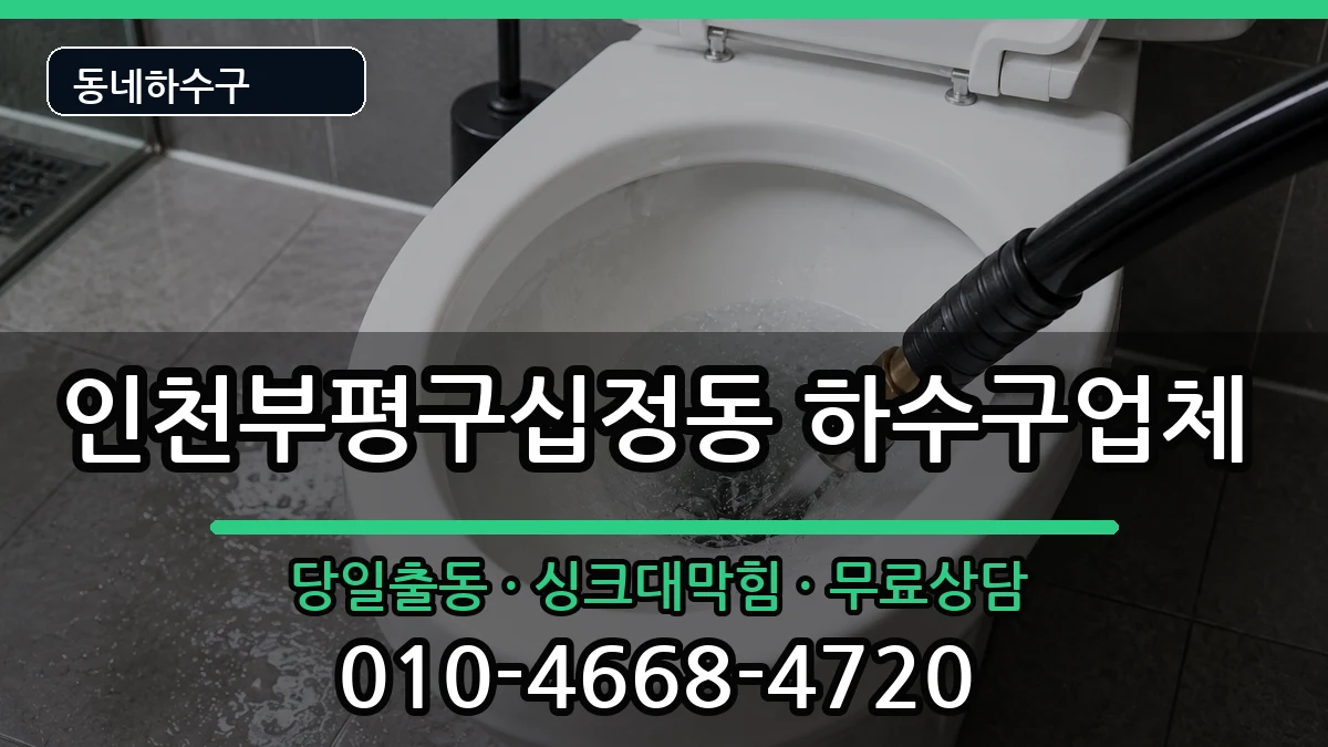 인천부평구십정동 하수구막힘 인천부평구십정동 하수구막힘 증상 처리 안내 이미지 1