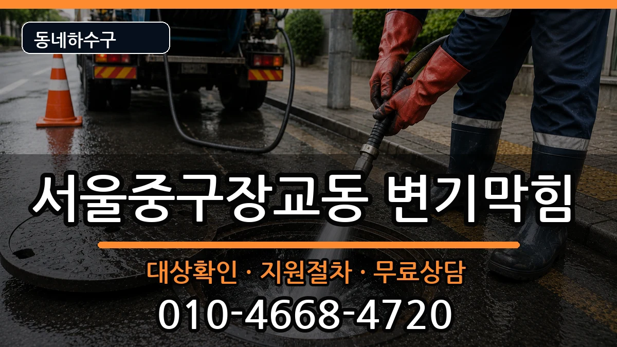 서울중구장교동 변기막힘 서울중구장교동 변기막힘 증상 처리 안내 이미지 1