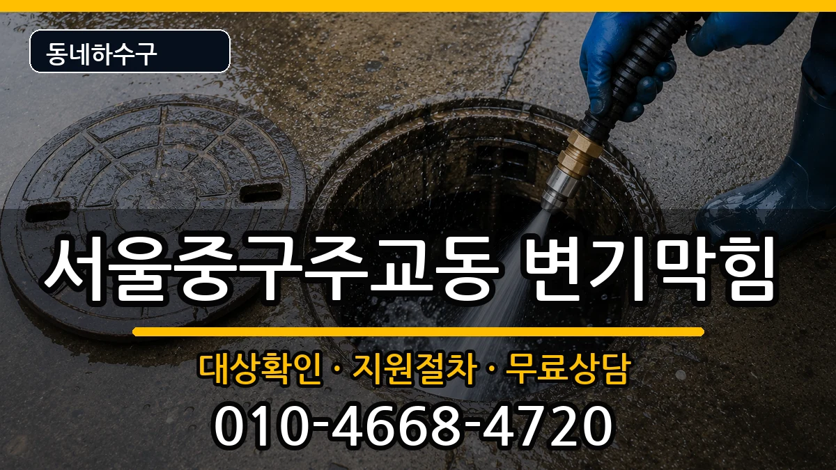서울중구주교동 변기막힘 서울중구주교동 변기막힘 증상 처리 안내 이미지 1