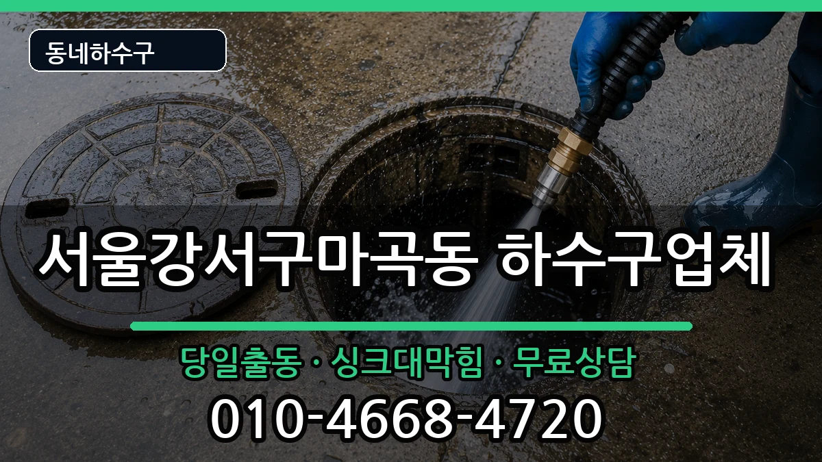 서울강서구마곡동  하수구막힘 FAQ형