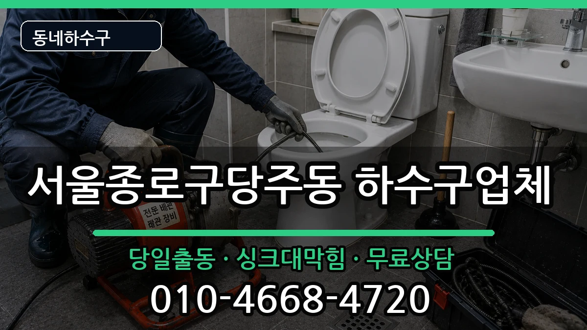 서울종로구당주동 하수구막힘 증상 처리 안내 이미지 3