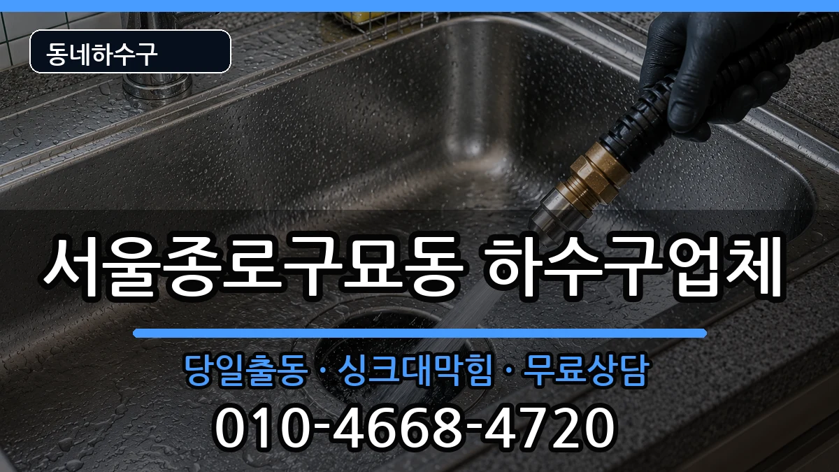 서울종로구묘동 하수구막힘 서울종로구묘동 하수구막힘 증상 처리 안내 이미지 2